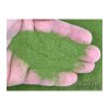 459 p1010181 nepustiltea cz thai moringa mleta a 01