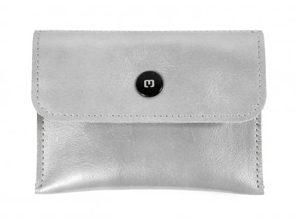 TOLLARY silver leather 1