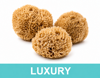 LUXURY