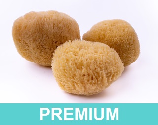 PREMIUM
