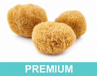 PREMIUM