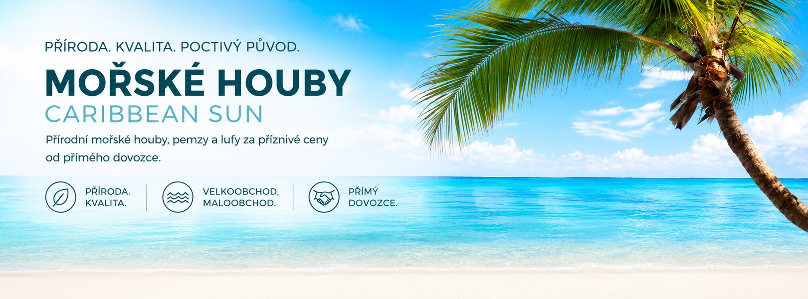 MOře s palmou