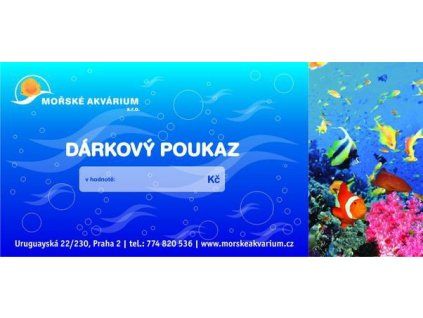Dárkový poukaz