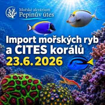 Import mořských ryb, bezobratlých a CITES korálů 23.června 2026