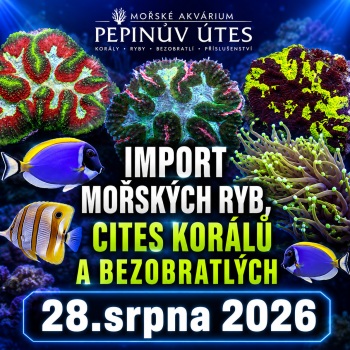 Import mořských ryb, CITES korálů a bezobratlých 28.srpna 2026
