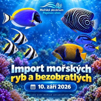 Import mořských ryb a bezobratlých 10.září 2026