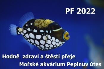 PF 2022