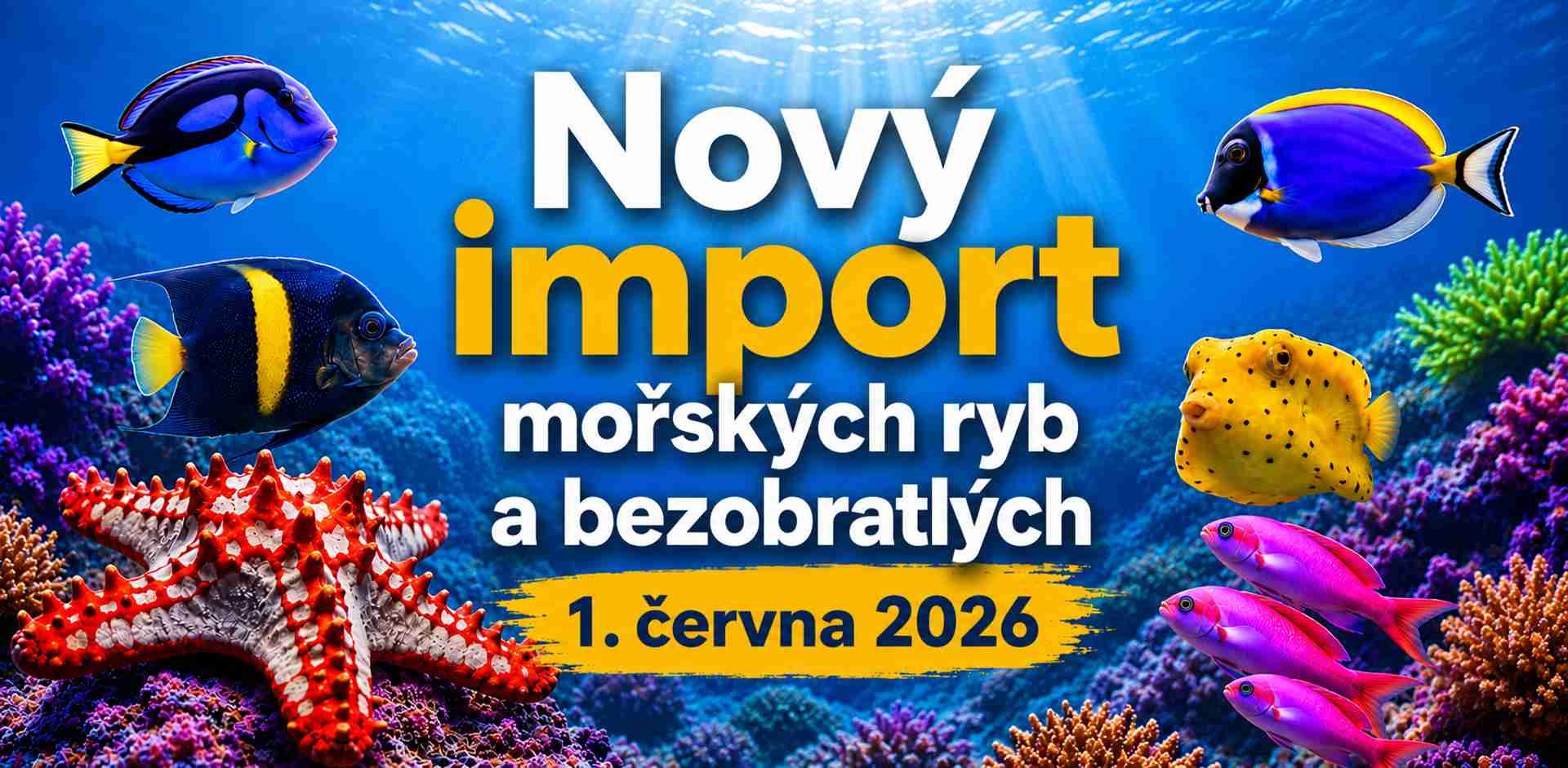 Banner import