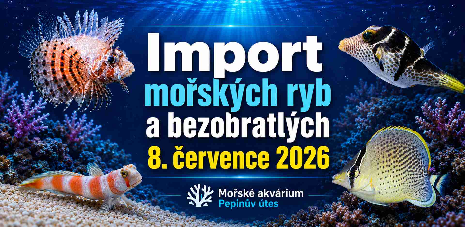 import