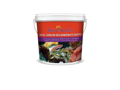 Royal Hydrogenuhličitan sodný 1 kg NaHCO3