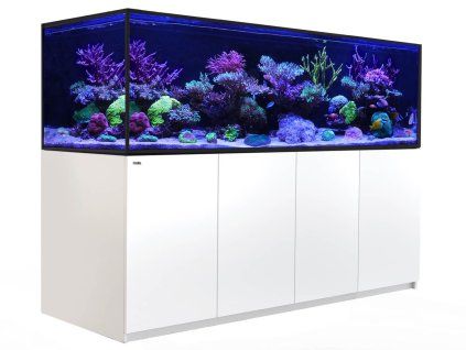 REEFER S 1000 g3+ White