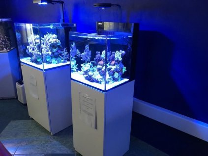 Mořské akvárium zařízené Red Sea MAX nano 75 litrů