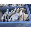 Kámen korálové pláty 1 kg