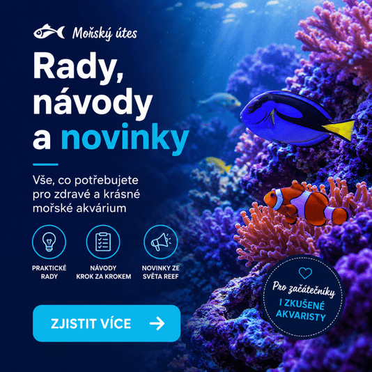 Rady, návody a novinky pro mořská akvária