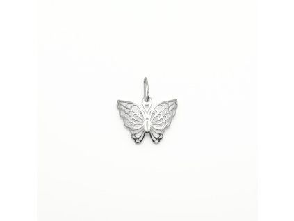 PA2478.motyl h