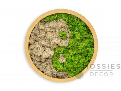 moss s2 539