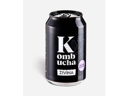 Snímek obrazovky 2026 01 01 172420