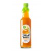 2560 koldokol sirup mango 0 5l