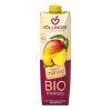 Nektar mango 1 l BIO HOLLINGER - 12 ks