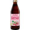 Voelkel Kombucha VIŠEŇ A MÁTA 0,33l