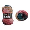 WALTZ5704