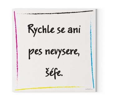 Designový motivační obraz  s citátem na zeď: "Rychle se ani pes nevysere, šéfe." Motivační obraz na plátně nese motivační citát.