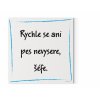 Designový motivační obraz  s citátem na zeď: "Rychle se ani pes nevysere, šéfe." Motivační obraz na plátně nese motivační citát. Barva modrá.