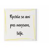 Designový motivační obraz  s citátem na zeď: "Rychle se ani pes nevysere, šéfe." Motivační obraz na plátně nese motivační citát. Barva žlutá.