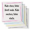 Náhled designový motivační obraz s citátem motivační citát 1ku1 Kdo chce, toho život vede. Kdo nechce, toho vleče Motivarcz