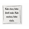 Designový motivační obraz s citátem na zeď Kdo chce, toho život vede. Kdo nechce, toho vleče obraz na plátno černá