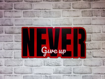 never giveup
