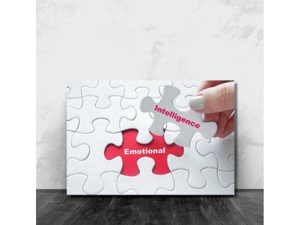 ARNOLD Conquer MOCKUP Cropped 02