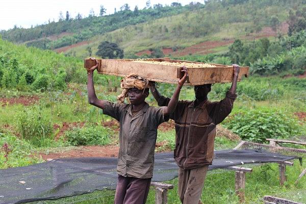 BURUNDI, KÁVA ZE SRDCE AFRIKY