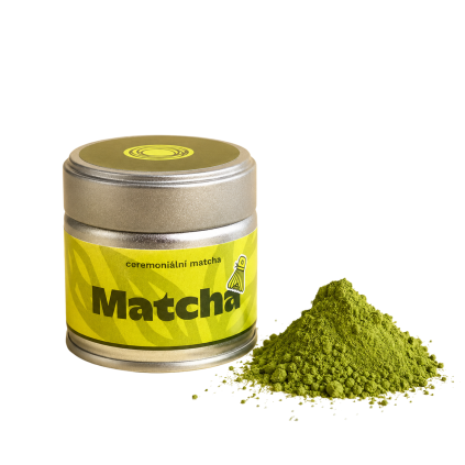 matcha motmot 2