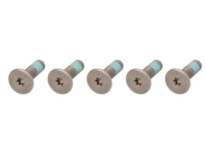 110930 trw sada sroubu pro brzdove kotouce