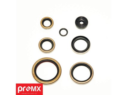 136532 promx sada gufer motoru ktm 250 sx 00 02 250exc 00 03 7 ks