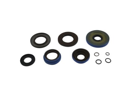 14985 all balls tesneni diferencialu cf moto z6 sport 12 polaris 450 ho 2x4 md 16 ace 325 14 1