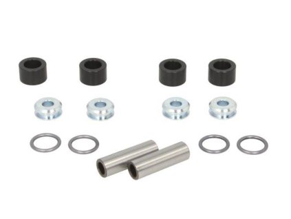 168420 all balls spodni sadad tesneni a pozdra podvozku a arm seal kit polaris 900 ace efi eps