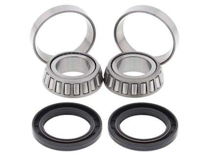 17613 all balls sada zadniho loziska a gufera polaris xplorer 300 4x4 99