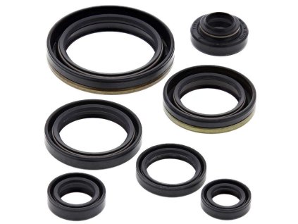 Winderosa sada gufer motoru Suzuki RM250 96-02