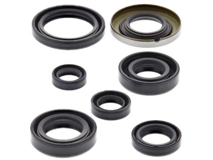 Winderosa sada gufer motoru Honda XR400R 96-98