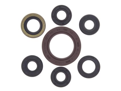 Winderosa sada gufer motoru Arctic Cat 400 DVX 04-08, Kawasaki KFX400 03-06, Suzuki LT-Z4