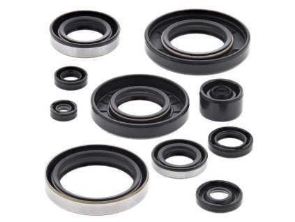 Winderosa sada gufer motoru Kawasaki KDX250 91-94, KX250 90-92