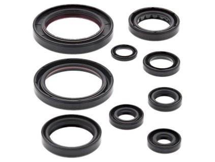 Winderosa sada gufer motoru Honda CRF250R 10-17