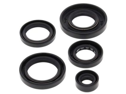 Winderosa sada gufer motoru Arctic Cat 650 4x4 H1 07-11, 650 H1 LTD 05-07, 650 H1 MUDPRO