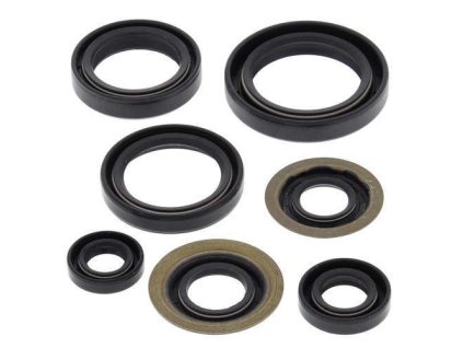 Winderosa sada gufer motoru Yamaha YFB250FW Timberwolf 94-00