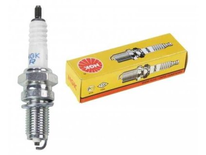 NGK-DPR8EA9.jpg¬Obrázek (23591)