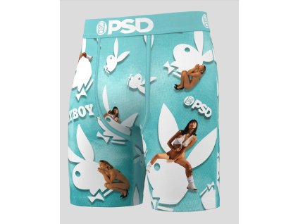 PSD Playboy Girls Men Underwear (2)