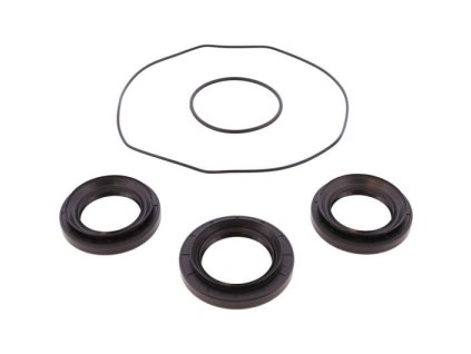 ALL BALLS Sada těsnění diferenciálu zadního YAMAHA WOLWERINE RMAX2 LE '21-'24, WOLWERINE