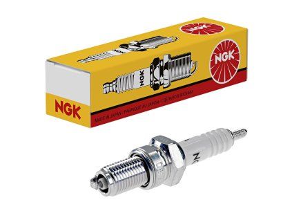 olek-NGK-D6EA.jpg